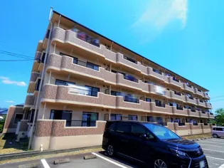 ルミエールの画像