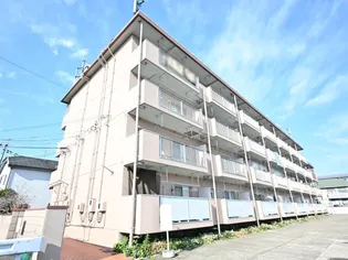 奈良県奈良市大安寺3丁目【マンション】の外観