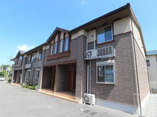 グレイス新の画像