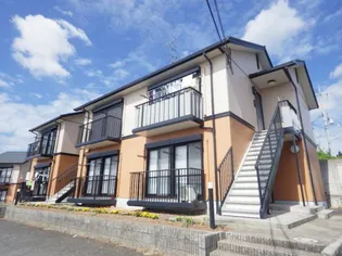 タモサーチCの画像