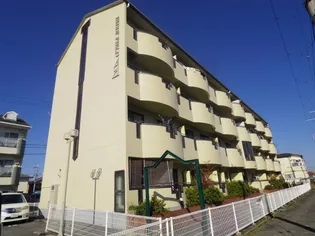 PADDYFIELD21の画像