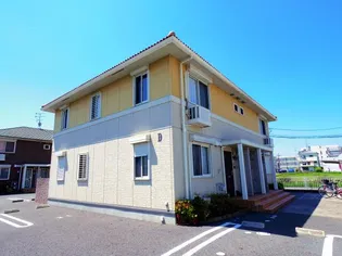 タウンビビの画像