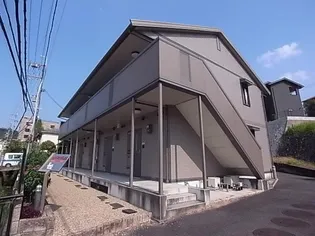 カラコレスの画像