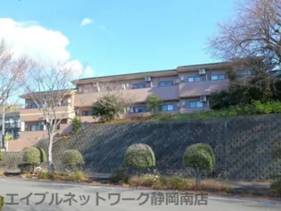 静岡県静岡市駿河区大谷【アパート】の外観
