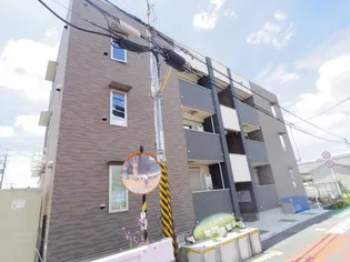 アプリコットの画像