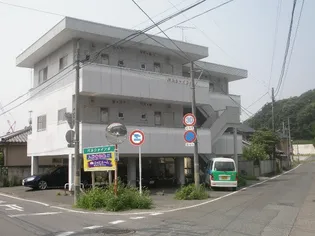 パルシャインαの画像