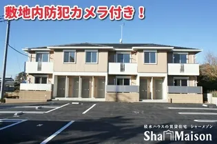 クオレール ケイの画像