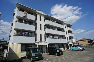 メディオ アイの画像