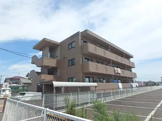 ブレインコート ルピナスの画像
