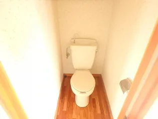 真下・ハイツ【105号室】の内装