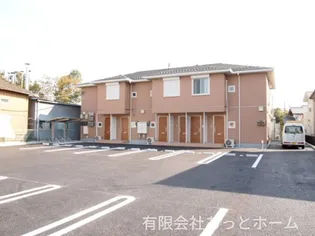 ステラDの画像