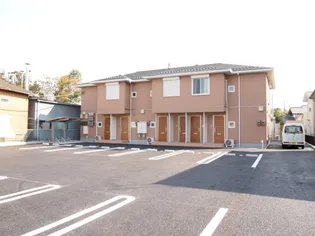 ステラ Eの画像