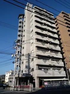 コスモス南蔵王の画像