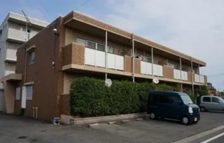 グレースコーエイの画像