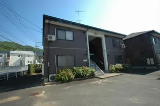 ルピナスBの画像