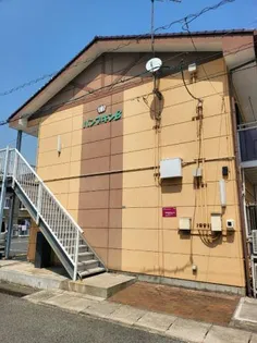 パンプキンBの画像