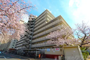 寝屋川サンハイツA棟の画像