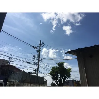 VILLA COURT CARROT7【101号室】のその他画像