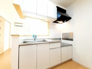 ウッディ グッディ Ⅲ【1階】のキッチン