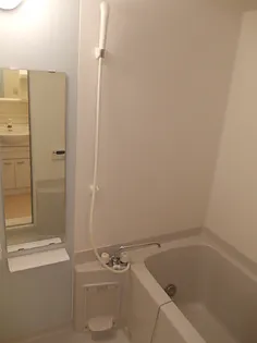 ベル グレース Ⅱ【1階】の風呂