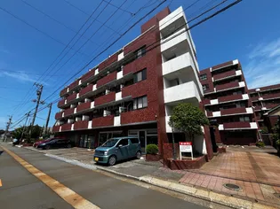 信開グランドハイツの画像