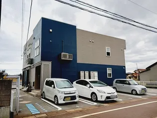 エクセランの画像