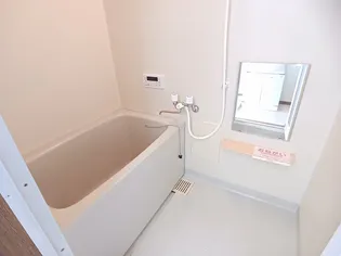 ニューフォンテーヌ【2階】の風呂