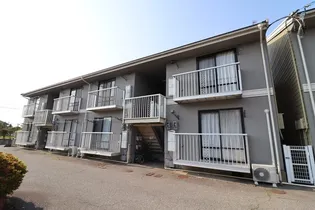 アドニスT M №3№5 №5の画像