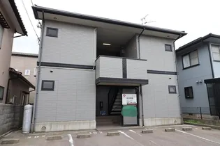 ヴィサージュMの画像