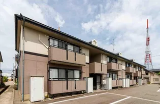 ノルデン インデル21の画像
