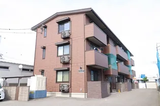 カメリアの画像