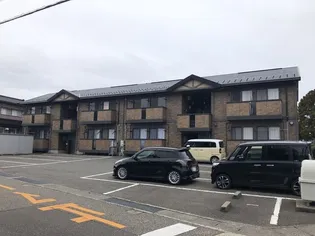 ウィルモア ボヌールの画像