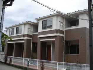 チェリートマトの画像