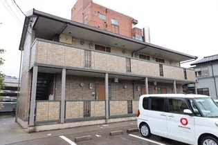 アネシスTの画像