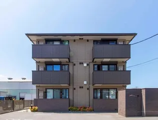 フェリスIIIの画像