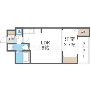 SERENiTE北浜【6階】の間取り