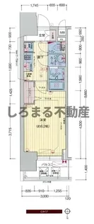 プレサンス心斎橋ソレイユ【8階】の間取り