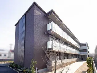 SHAMAISON SOLUTIONS VIIIの画像