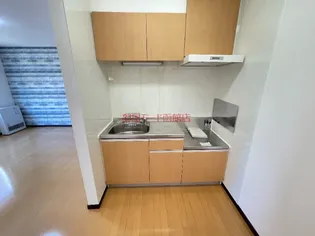 レジデンスH&H【102号室】のキッチン