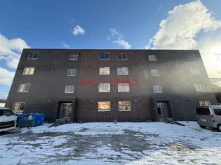 ステラ桔梗(Stella 桔梗)【3階】の外観