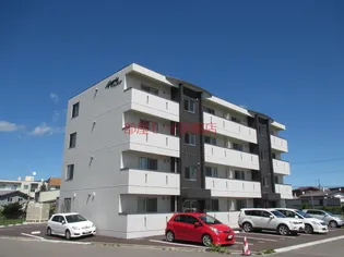 アレグリアの画像