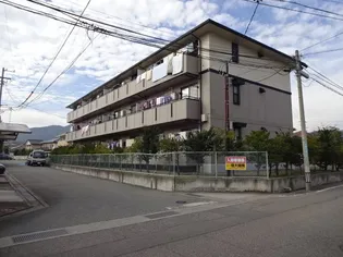 長野県長野市三輪3丁目【アパート】の外観