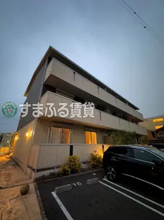 オリーブ錦の画像