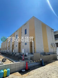 マリーゴールドの画像