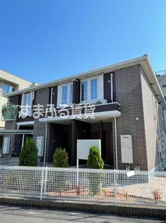 プルミエール信の画像