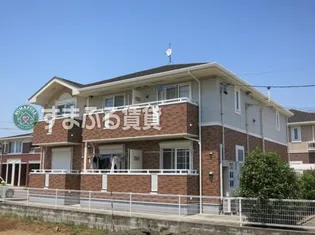 シンシアの画像
