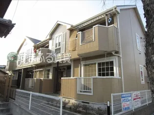 サンセットタウニーの画像