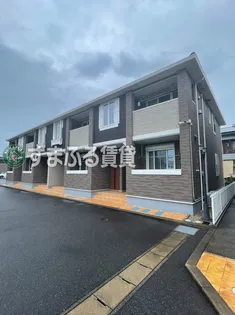 ロゼッタBの画像