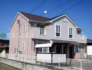 ピーコックYの画像