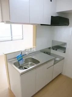 グリーシースプーン【301号室】のキッチン